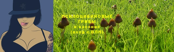 соль ск Алексеевка