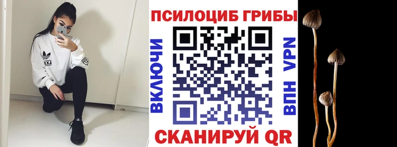 omg как войти Богородицк Псилоцибиновые грибы MAGIC MUSHROOMS